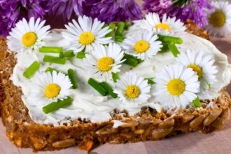 Gänseblümchen essen