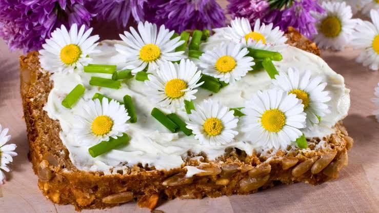 Gänseblümchen essen